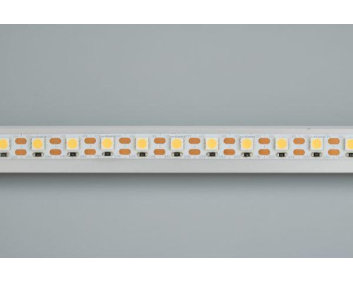Светодиодная лента Arlight 15,6W/m 72LED/m 5060SMD холодный белый 5M 016837(2) Светодиодная лента Arlight 15,6W/m 72LED/m 5060SMD холодный белый 5M 016837(2)
