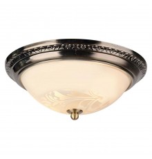 Потолочный светильник Arte Lamp 28 A3009PL-2AB