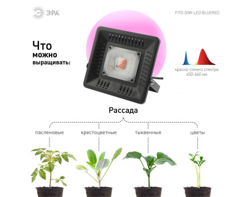 Прожектор светодиодный ЭРА 50W 1370K Fito-50W-Led Б0039033 Прожектор светодиодный ЭРА 50W 1370K Fito-50W-Led Б0039033