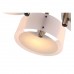 Потолочная люстра Evoluce Foresta SL483.352.03