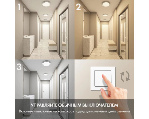 Потолочный светодиодный светильник Denkirs DK6516-WH/1 Потолочный светодиодный светильник Denkirs DK6516-WH/1