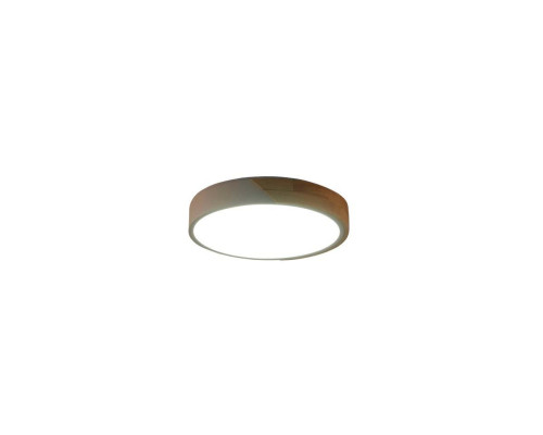 Потолочный светильник Zortes ALBERRO ZRS.01239.90 Потолочный светильник Zortes ALBERRO ZRS.01239.90