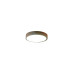 Потолочный светильник Zortes ALBERRO ZRS.01239.90