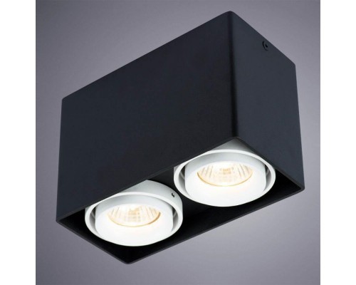 Потолочный светильник Arte Lamp A5655PL-2BK