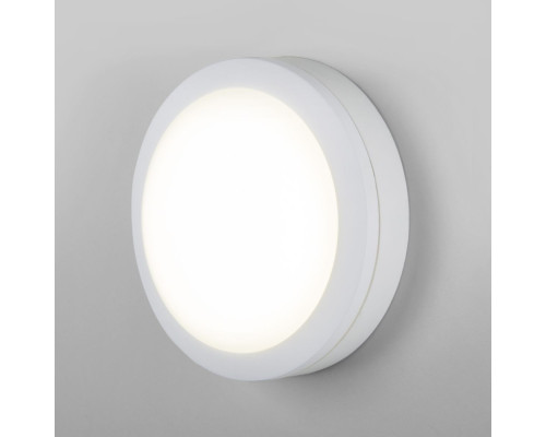 Уличный настенный светодиодный светильник Elektrostandard LTB51 Led белый a048710 Уличный настенный светодиодный светильник Elektrostandard LTB51 Led белый a048710