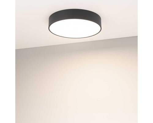 Потолочный светодиодный светильник Arlight IM-Rondo-Emergency-3H-R350-33W Warm3000 041069