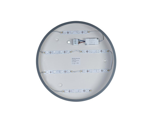 Потолочный светодиодный светильник Loft IT Axel 10003/24 grey Потолочный светодиодный светильник Loft IT Axel 10003/24 grey