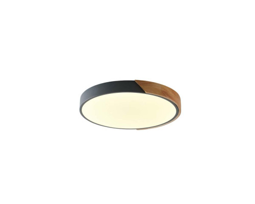 Потолочный светильник Zortes ALBERRO ZRS.01280.36 Потолочный светильник Zortes ALBERRO ZRS.01280.36