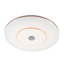 Потолочный светодиодный светильник Profit Light 2147/450 WH+CR