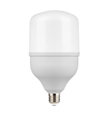 Лампа светодиодная Gauss E27 50W 6500K матовая 63235