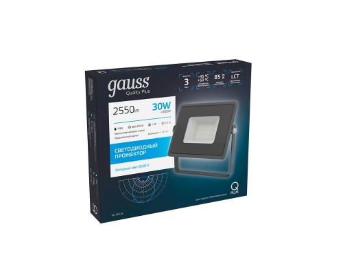 Прожектор светодиодный Gauss Qplus 30W 6500К 690511330