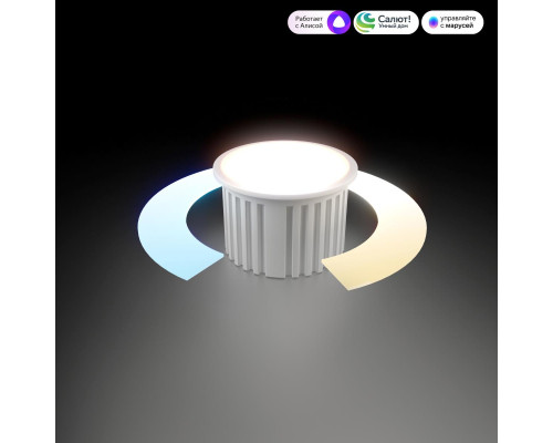 Умный светодиодный модуль 7W 2700-6500K CCT+DIM (BMGU1005) Elektrostandard Умный модуль a071264 Умный светодиодный модуль 7W 2700-6500K CCT+DIM (BMGU1005) Elektrostandard Умный модуль a071264