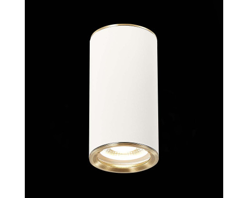Потолочный светильник ST Luce Chomus ST111.537.01 Потолочный светильник ST Luce Chomus ST111.537.01