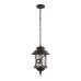 Уличный подвесной светильник Loft IT Prato 100021P