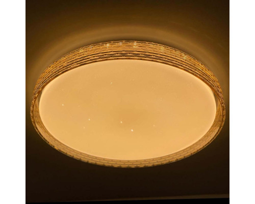 Потолочный светодиодный светильник Profit Light 2095/450 WH+GD Потолочный светодиодный светильник Profit Light 2095/450 WH+GD