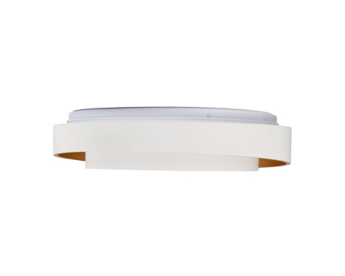 Потолочный светодиодный светильник MyFar Ceiling Rhea MR9161-CL Потолочный светодиодный светильник MyFar Ceiling Rhea MR9161-CL