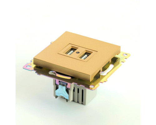 Розетка 2хUSB Stekker Катрин золото GLS10-7115-08 49229 Розетка 2хUSB Stekker Катрин золото GLS10-7115-08 49229
