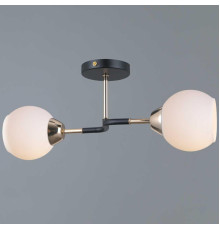 Потолочный светильник ILLUMICO IL0689-2CSQ-24 BK FGD LIBRA