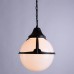 Уличный подвесной светильник Arte Lamp Monaco A1495SO-1BK