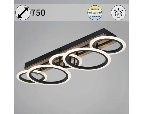 Светильник потолочный Reluce 00330-0.3-3+2