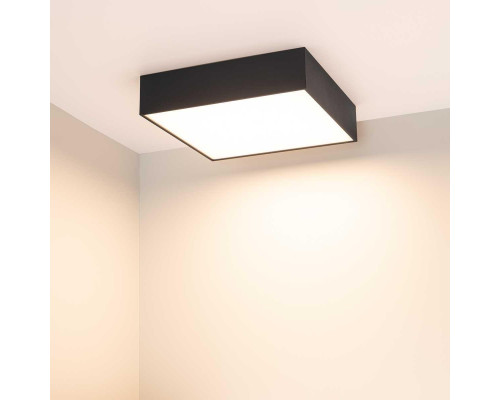 Потолочный светодиодный светильник Arlight IM-Quadro-Emergency-3H-S250x250-28W Day4000 041007 Потолочный светодиодный светильник Arlight IM-Quadro-Emergency-3H-S250x250-28W Day4000 041007