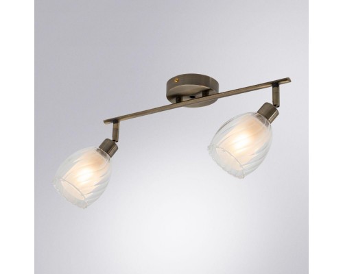 Спот Arte Lamp Biham A3184PL-2AB