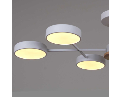 Светильник потолочный Reluce 03335-0.3-06 WH+WOOD