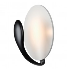 Настенный светильник iLedex Spoon ZD8096S-6W BK