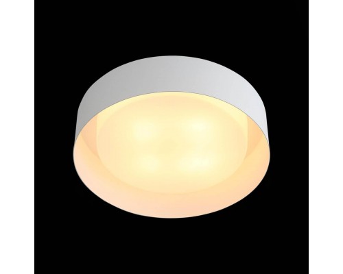 Потолочный светильник ST Luce Chio SL392.502.04