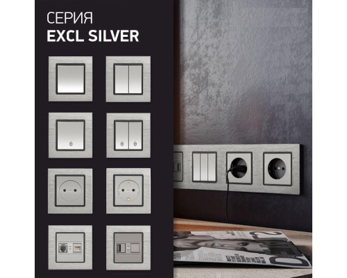 Выключатель двухклавишный Vesta-Electric Exclusive Silver Metallic серебро FVK050203SER Выключатель двухклавишный Vesta-Electric Exclusive Silver Metallic серебро FVK050203SER