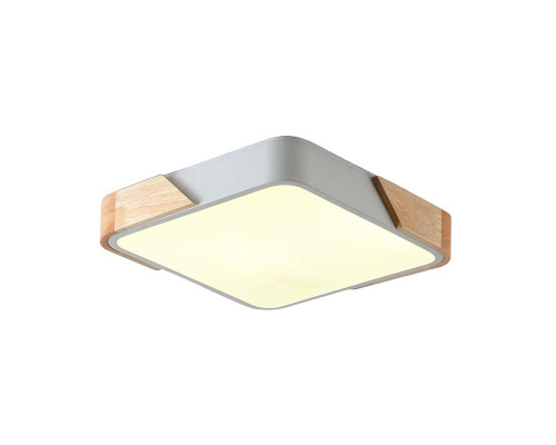 Потолочный светильник Zortes ALBERRO ZRS.01285.60 Потолочный светильник Zortes ALBERRO ZRS.01285.60