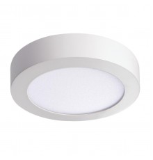 Потолочный светодиодный светильник Kanlux CARSA V2LED 12W-NW-W 28948