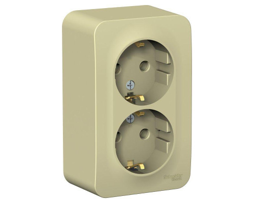 Розетка двойная 2К+З Systeme Electric Blanca 16A 250V бежевая BLNRA010217 Розетка двойная 2К+З Systeme Electric Blanca 16A 250V бежевая BLNRA010217