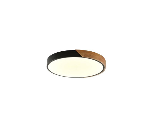 Потолочный светильник Zortes ALBERRO ZRS.01287.24 Потолочный светильник Zortes ALBERRO ZRS.01287.24