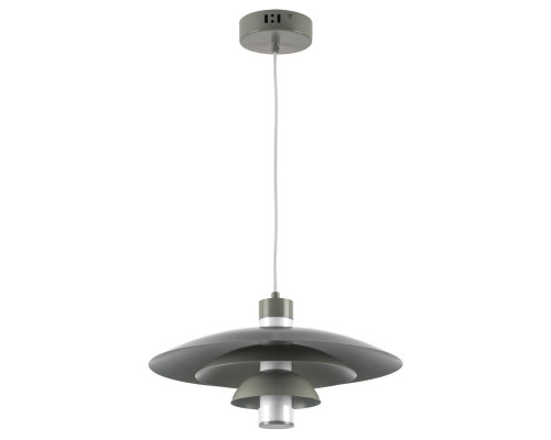 Люстра подвесная Erbareo Lightstar 799019 Люстра подвесная Erbareo Lightstar 799019