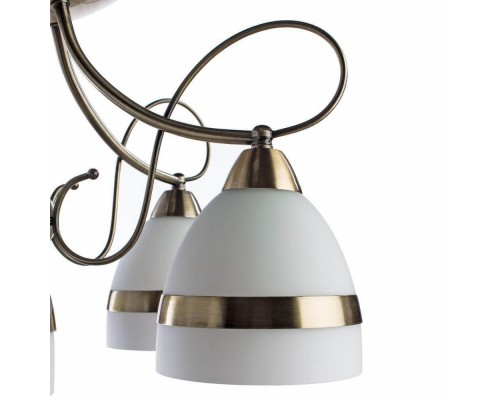 Потолочная люстра Arte Lamp 55 A6192PL-5AB