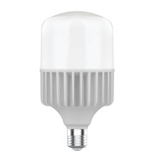 Лампа светодиодная Gauss E40 80W 6500K матовая 63438