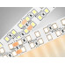 Светодиодная лента Ambrella Light 24W/m 240LED/m 2835SMD дневной белый 5M GS3702