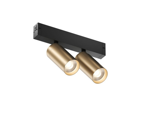 Трековый светодиодный светильник Denkirs Smart Spot DK8012-BG Трековый светодиодный светильник Denkirs Smart Spot DK8012-BG