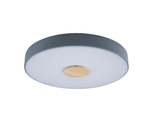 Потолочный светодиодный светильник Loft IT Axel 10003/24 grey Потолочный светодиодный светильник Loft IT Axel 10003/24 grey