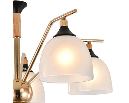 Подвесная люстра Escada Actinidia 2123/5P Подвесная люстра Escada Actinidia 2123/5P