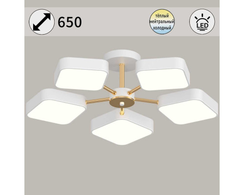 Светильник потолочный Reluce 03360-0.3-05 WH+FGD