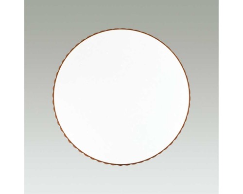 Настенно-потолочный светодиодный светильник Sonex Pale Dina amber 2078/EL Настенно-потолочный светодиодный светильник Sonex Pale Dina amber 2078/EL