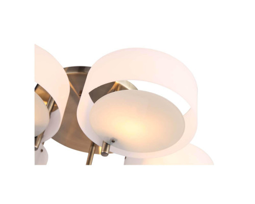 Потолочная люстра Evoluce Foresta SL483.352.05 Потолочная люстра Evoluce Foresta SL483.352.05