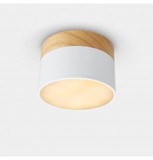 Потолочный светодиодный светильник Imperium Loft Wood 141161-26