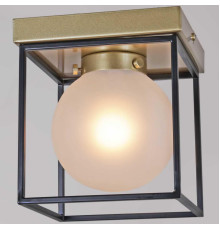 Потолочный светильник ILLUMICO IL0050-1C-79