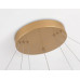 Подвесной светодиодный светильник Ambrella light Comfort Line FL5516