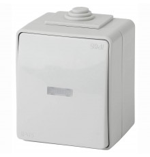 Переключатель одноклавишный с подсветкой ЭРА Эксперт 10AX 250V IP65 11-1610-03 Б0035981
