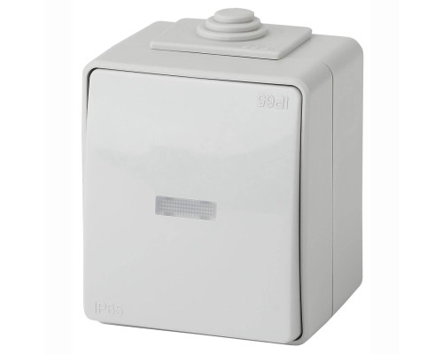 Переключатель одноклавишный с подсветкой ЭРА Эксперт 10AX 250V IP65 11-1610-03 Б0035981 Переключатель одноклавишный с подсветкой ЭРА Эксперт 10AX 250V IP65 11-1610-03 Б0035981