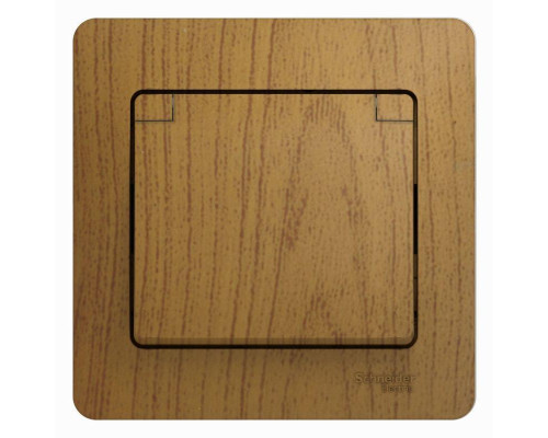 Розетка 2К+З Systeme Electric Glossa 16A 250V со шторками и крышкой дуб GSL000546 Розетка 2К+З Systeme Electric Glossa 16A 250V со шторками и крышкой дуб GSL000546